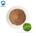 Green Tea Extract Polyphenol 98% EGCG 40% Catechins